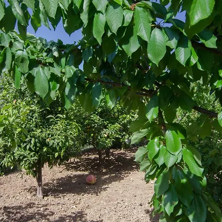 Marina's House 아파트 Khelmáta