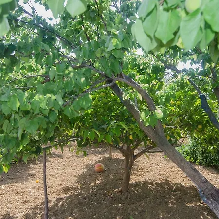 Marina's House Διαμέρισμα