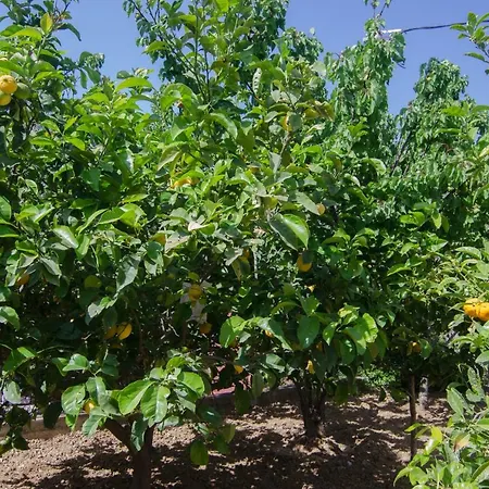 Διαμέρισμα Marina's House