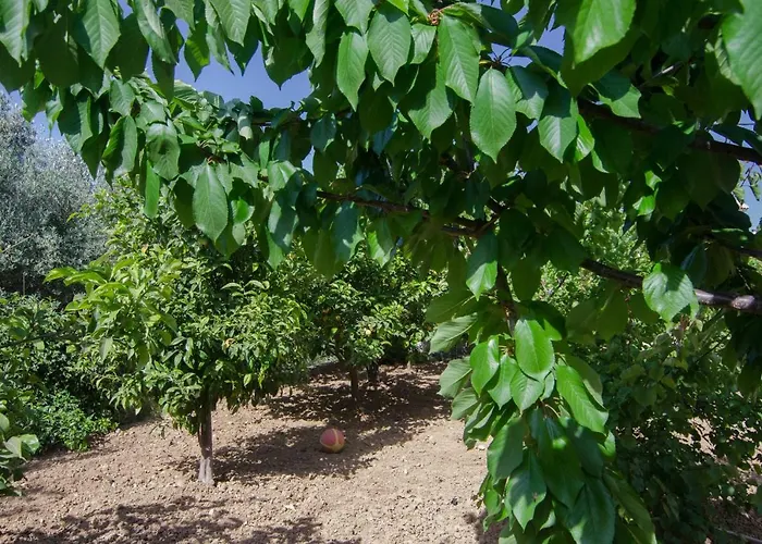 Marina's House Daire Khelmáta